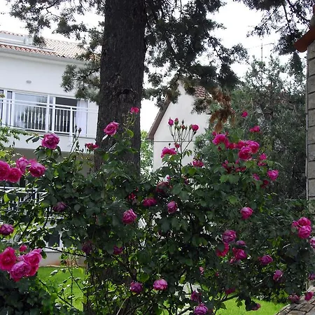 Apartman Maslina A Lejlighed Fažana