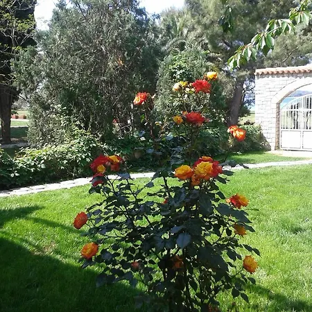 Apartman Maslina A